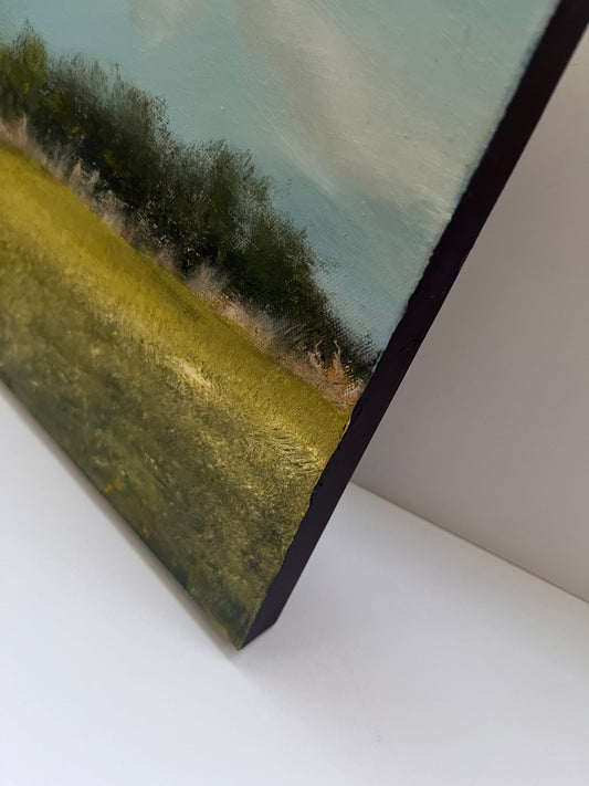 landscape oil painting on stretched canvas of meadow and colourful foliage and trees unique art, contemporary artwork handmade country artwork wall decor summer nature side view