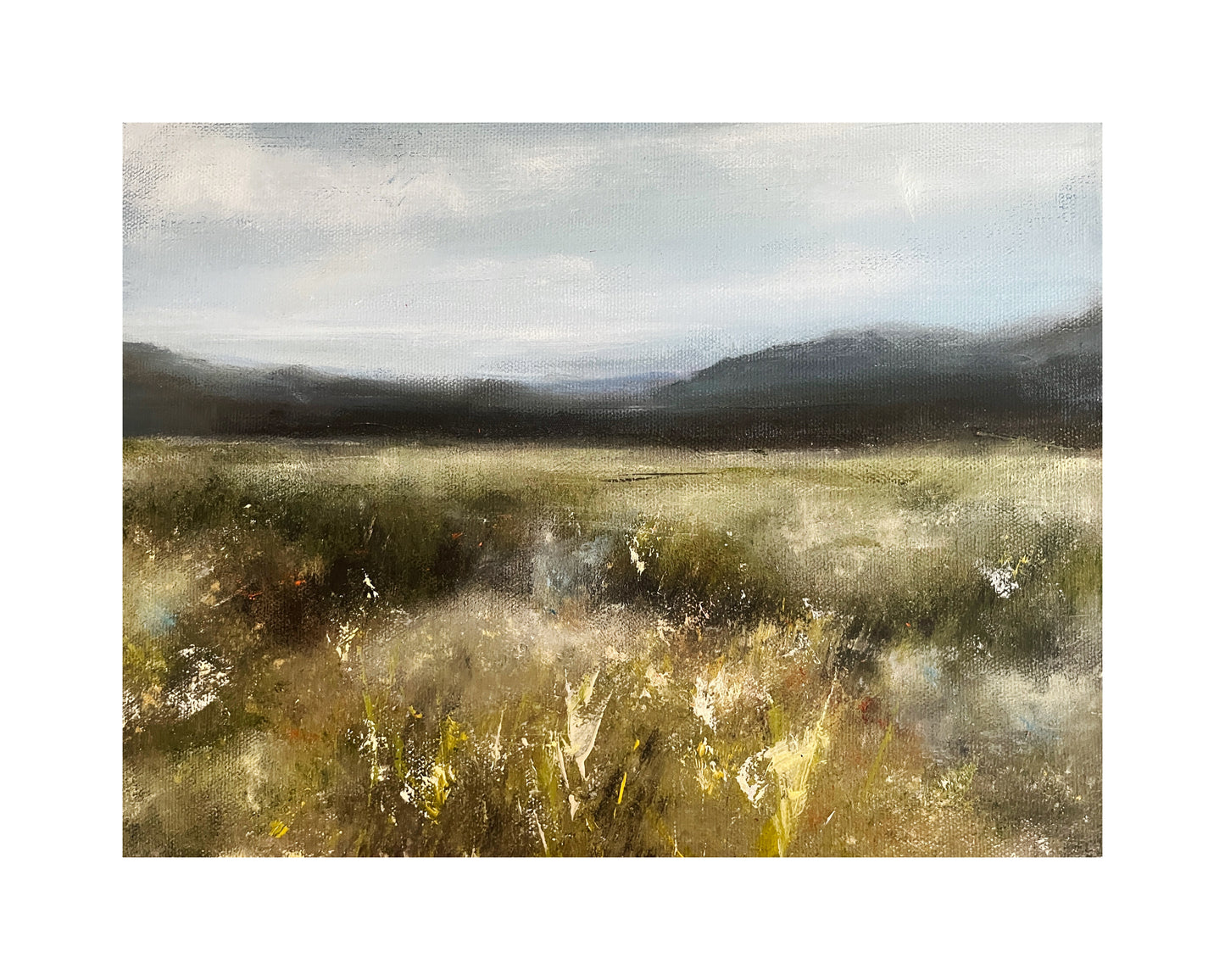 Wetland scene with grasses and water, possibly after a rainstorm, with mountains in the background.